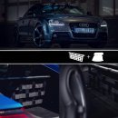 Clubsport Komplettset - Strebe mit Netz und Teppich für Audi TT / TTS / TTRS 8J